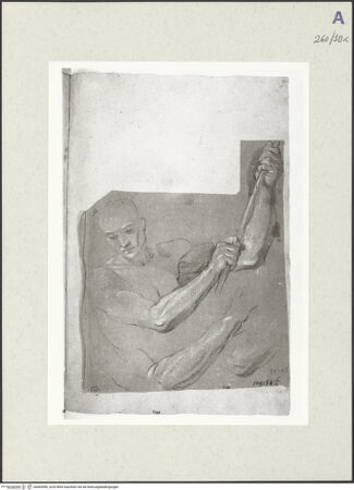 Vorderseite von Istituto Nazionale per la Grafica [https://www.deutsche-digitale-bibliothek.de/content/lizenzen/rv-ez/] Aktstudie zu einem Mann in Halbfigur, einen Stab haltend - , bh465496_recto. Foto.