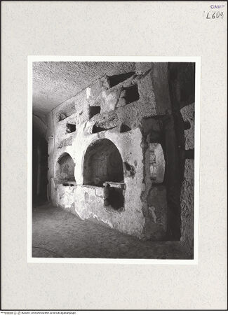 Vorderseite von Bibliotheca Hertziana [https://www.deutsche-digitale-bibliothek.de/content/lizenzen/rv-fz/] Catacombe di San GennaroCatacomba Inferiore - Arcosolio del pavone und Arcosolio delle vite, bh465891_recto. Foto: Savio, Oscar.
