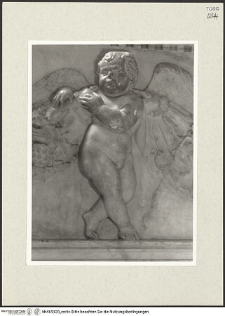 Vorderseite von bh465920_recto