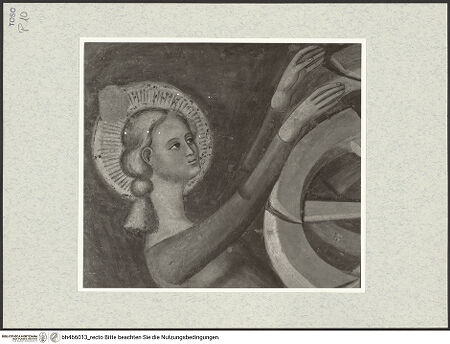 Vorderseite von bh466013_recto