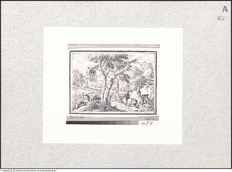 Vorderseite von bh466040_recto