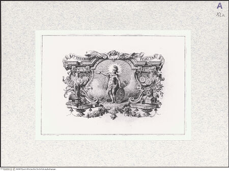 Vorderseite von bh466073_recto