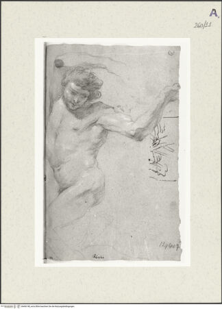 Vorderseite von Istituto Nazionale per la Grafica [https://www.deutsche-digitale-bibliothek.de/content/lizenzen/rv-ez/] Aktstudie zu einem knienden Mann. Skizzen - , bh466148_recto. Foto.