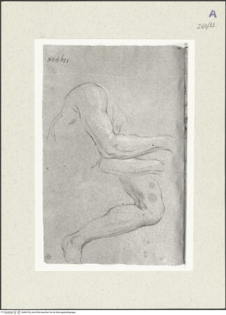 Vorderseite von Istituto Nazionale per la Grafica [https://www.deutsche-digitale-bibliothek.de/content/lizenzen/rv-ez/] Arm- und Beinstudien - , bh466156_recto. Foto.