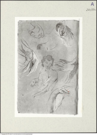 Vorderseite von Istituto Nazionale per la Grafica [https://www.deutsche-digitale-bibliothek.de/content/lizenzen/rv-ez/] Männliche Aktstudie in Halbfigur. Arm-, Hand- und Draperiestudien - , bh466157_recto. Foto.