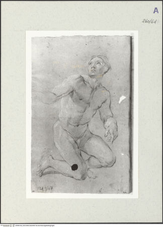 Vorderseite von Istituto Nazionale per la Grafica [https://www.deutsche-digitale-bibliothek.de/content/lizenzen/rv-ez/] Aktstudie zu einem knienden Mann - , bh466168_recto. Foto.