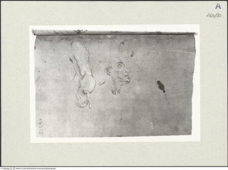 Vorderseite von Istituto Nazionale per la Grafica [https://www.deutsche-digitale-bibliothek.de/content/lizenzen/rv-ez/] Studie zu einem Arm und einem Kopf - , bh466170_recto. Foto.