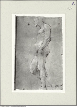 Vorderseite von Istituto Nazionale per la Grafica [https://www.deutsche-digitale-bibliothek.de/content/lizenzen/rv-ez/] Aktstudie zu einem stehenden Mann - , bh466171_recto. Foto.