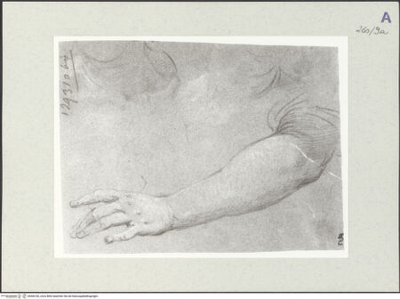 Vorderseite von Istituto Nazionale per la Grafica [https://www.deutsche-digitale-bibliothek.de/content/lizenzen/rv-ez/] Studie zu einem Arm - , bh466182_recto. Foto.