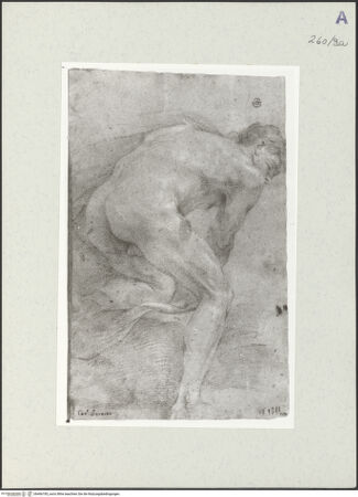 Vorderseite von Istituto Nazionale per la Grafica [https://www.deutsche-digitale-bibliothek.de/content/lizenzen/rv-ez/] Aktstudie zu einem knienden Mann, vom Rücken gesehen - , bh466185_recto. Foto.