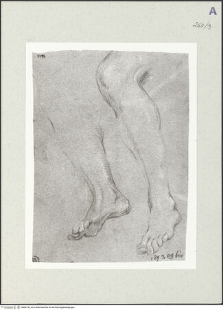 Vorderseite von Istituto Nazionale per la Grafica [https://www.deutsche-digitale-bibliothek.de/content/lizenzen/rv-ez/] Beinstudien - , bh466190_recto. Foto.