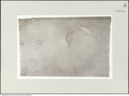 Vorderseite von Istituto Nazionale per la Grafica [https://www.deutsche-digitale-bibliothek.de/content/lizenzen/rv-ez/] Draperiestudie - , bh466191_recto. Foto.