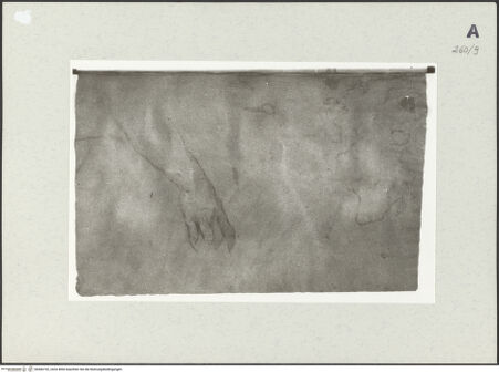 Vorderseite von Istituto Nazionale per la Grafica [https://www.deutsche-digitale-bibliothek.de/content/lizenzen/rv-ez/] Armstudie - , bh466192_recto. Foto.