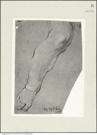 Vorderseite von Istituto Nazionale per la Grafica [https://www.deutsche-digitale-bibliothek.de/content/lizenzen/rv-ez/] Beinstudie zu einem Putto - , bh466199_recto. Foto.