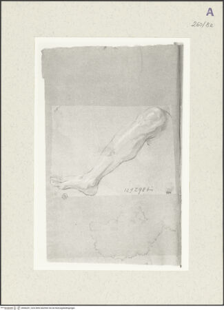 Vorderseite von Istituto Nazionale per la Grafica [https://www.deutsche-digitale-bibliothek.de/content/lizenzen/rv-ez/] Studie zu einem Bein - , bh466201_recto. Foto.