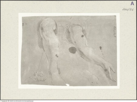 Vorderseite von Istituto Nazionale per la Grafica [https://www.deutsche-digitale-bibliothek.de/content/lizenzen/rv-ez/] Detailstudien - , bh466204_recto. Foto.