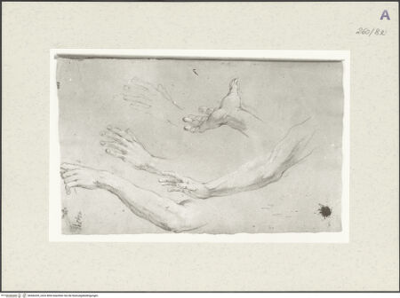 Vorderseite von Istituto Nazionale per la Grafica [https://www.deutsche-digitale-bibliothek.de/content/lizenzen/rv-ez/] Arm- und Handstudien - , bh466205_recto. Foto.