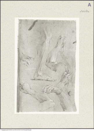 Vorderseite von Istituto Nazionale per la Grafica [https://www.deutsche-digitale-bibliothek.de/content/lizenzen/rv-ez/] Detailstudien - , bh466207_recto. Foto.