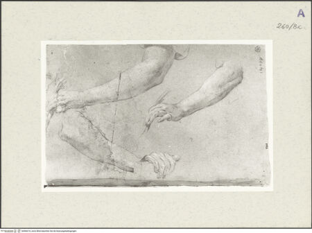 Vorderseite von Istituto Nazionale per la Grafica [https://www.deutsche-digitale-bibliothek.de/content/lizenzen/rv-ez/] Armstudien - , bh466210_recto. Foto.