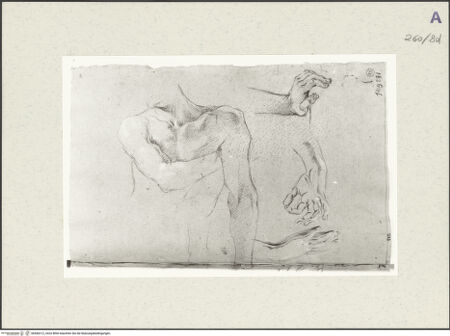 Vorderseite von Istituto Nazionale per la Grafica [https://www.deutsche-digitale-bibliothek.de/content/lizenzen/rv-ez/] Aktstudie zu einem sitzenden Mann. Handstudien - , bh466212_recto. Foto.