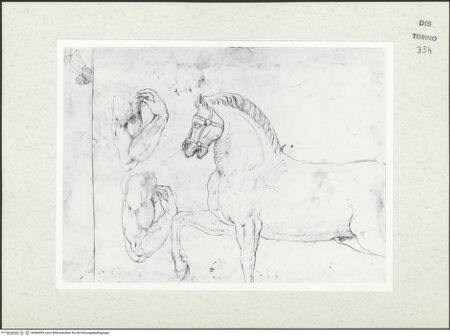 Vorderseite von Biblioteca Reale [https://www.deutsche-digitale-bibliothek.de/content/lizenzen/rv-ez/] Skizzenbuch mit Antiken (Contraffazioni)Zwei Armstudien, Pferd - , bh466599_recto. Foto.