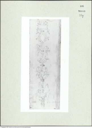 Vorderseite von Biblioteca Reale [https://www.deutsche-digitale-bibliothek.de/content/lizenzen/rv-ez/] Skizzenbuch mit Antiken (Contraffazioni)Ornamentstudien mit Vögeln - , bh466618_recto. Foto.