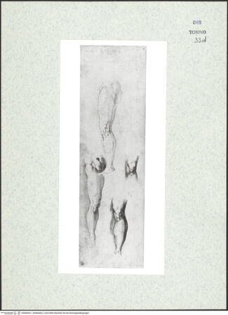 Vorderseite von bh466666-1_bh466666-2_recto