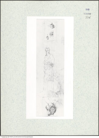 Vorderseite von Biblioteca Reale [https://www.deutsche-digitale-bibliothek.de/content/lizenzen/rv-ez/] Skizzenbuch mit Antiken (Contraffazioni)Drei männliche Kopfstudien, Diana, Helm - , bh466675_recto. Foto.