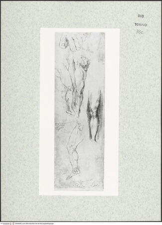 Vorderseite von Biblioteca Reale [https://www.deutsche-digitale-bibliothek.de/content/lizenzen/rv-ez/] Skizzenbuch mit Antiken (Contraffazioni)Verschiedene anatomische Studien nach Michelangelo - , bh466685_recto. Foto.