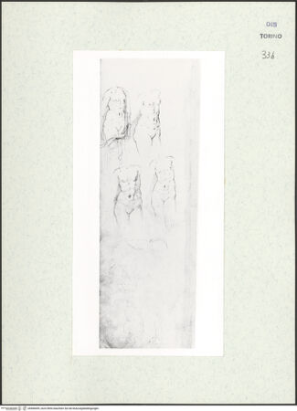 Vorderseite von Biblioteca Reale [https://www.deutsche-digitale-bibliothek.de/content/lizenzen/rv-ez/] Skizzenbuch mit Antiken (Contraffazioni)Studien zu einem weiblichen Torso, ein Hirsch jagender Hund - , bh466699_recto. Foto.