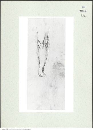 Vorderseite von Biblioteca Reale [https://www.deutsche-digitale-bibliothek.de/content/lizenzen/rv-ez/] Skizzenbuch mit Antiken (Contraffazioni)Anatomische Studien nach Michelangelos Christus - , bh466704_recto. Foto.