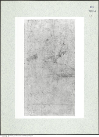 Vorderseite von Biblioteca Reale [https://www.deutsche-digitale-bibliothek.de/content/lizenzen/rv-ez/] Skizzenbuch mit Antiken (Contraffazioni)Torso vom Belvedere - , bh466707_recto. Foto.