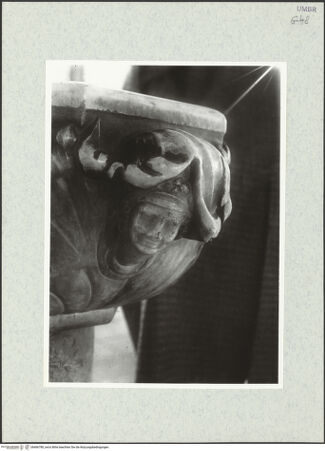 Vorderseite von Bibliotheca Hertziana [https://www.deutsche-digitale-bibliothek.de/content/lizenzen/rv-fz/] Weihwasserbecken - Detail: weiblicher Kopf, bh466780_recto. Foto.