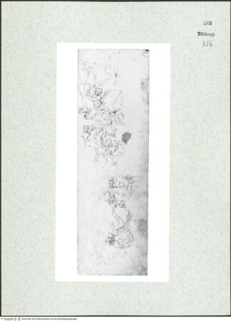 Vorderseite von Biblioteca Reale [https://www.deutsche-digitale-bibliothek.de/content/lizenzen/rv-ez/] Skizzenbuch mit Antiken (Contraffazioni)Grotesken - , bh467086_recto. Foto.