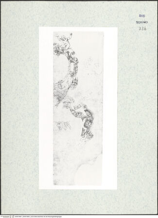 Vorderseite von bh467088-1_bh467088-2_recto