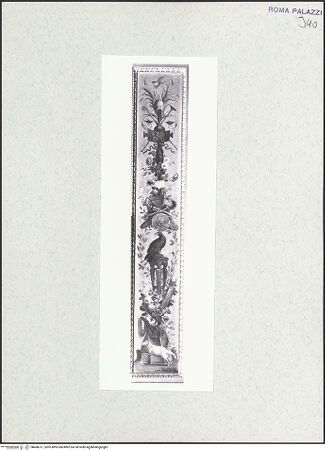 Vorderseite von bh468317_recto