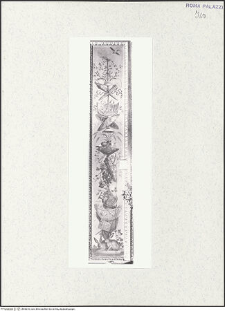 Vorderseite von bh468318_recto