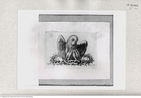 Vorderseite von Istituto Nazionale per la Grafica [http://creativecommons.org/publicdomain/mark/1.0/] Pelikan, die Jungen mit seinem Blut nährend - , bh468393. Foto.