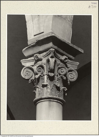 Vorderseite von bh468555_recto