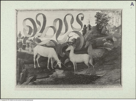 Vorderseite von bh468699_recto