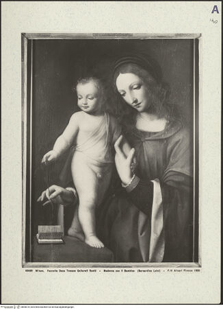 Vorderseite von bh468725_recto