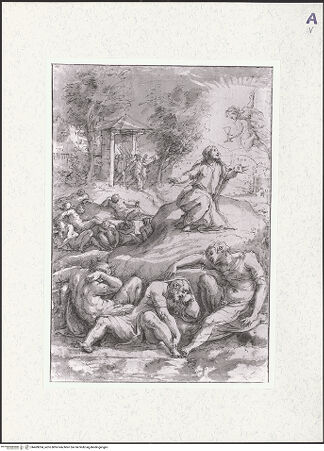 Vorderseite von bh469034_recto