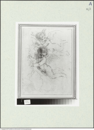 Vorderseite von bh469084_recto