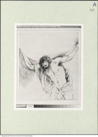 Vorderseite von bh469092_recto