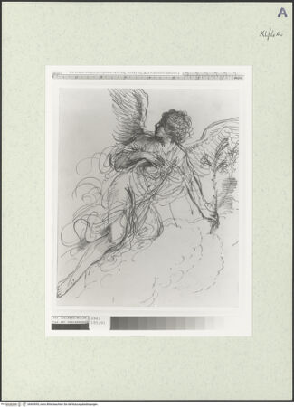 Vorderseite von bh469093_recto