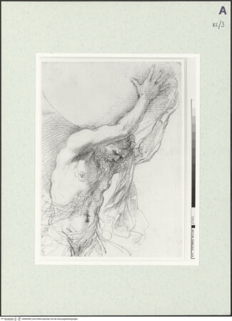 Vorderseite von bh469098_recto