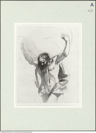 Vorderseite von bh469101_recto