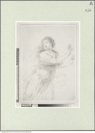 Vorderseite von bh469106_recto