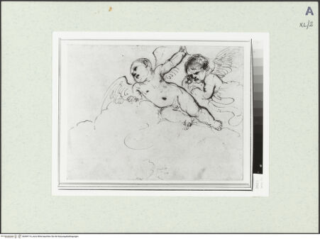 Vorderseite von bh469114_recto