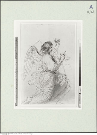 Vorderseite von bh469125_recto